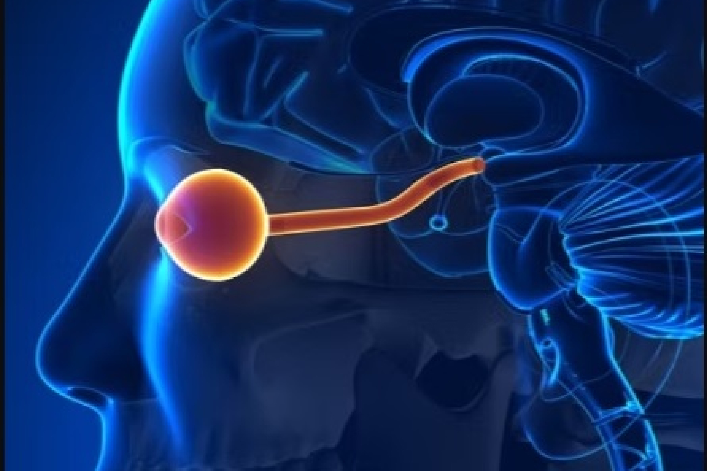 Neuro Ophthalmology visualization